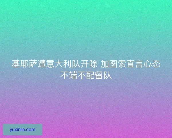 基耶萨遭意大利队开除 加图索直言心态不端不配留队
